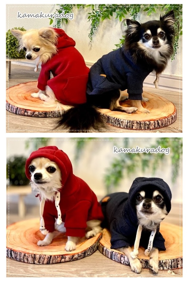 可愛い小型犬の洋服通販 鎌倉ドッグ NEW裏起毛フードパーカー