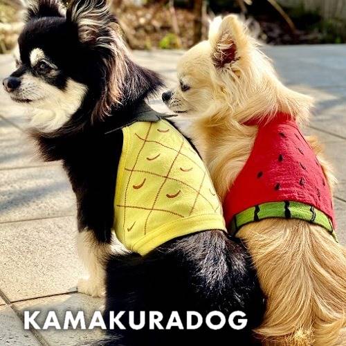 フルーツショート丈キャミ