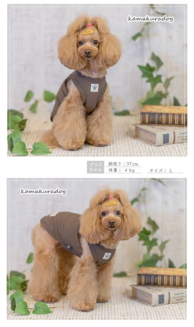 くまちゃん様❤️恐竜♡メッシュ♡金ラメ♡帽子♡タンクトップ♡ハンドメイド犬服 くまちゃん様❤️恐竜♡メッシュ♡金ラメ♡帽子♡タンクトップ♡