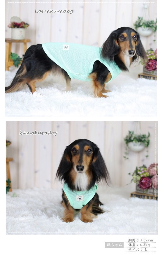可愛い小型犬の洋服通販 鎌倉ドッグ シンプルメッシュタンク