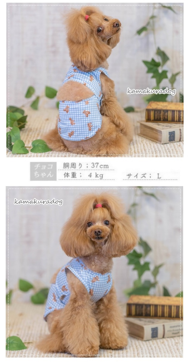 可愛い小型犬の洋服通販 鎌倉ドッグ くまちゃんバカンスウェア