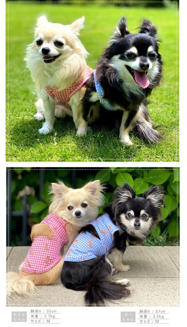 くま ハンドメイド 犬服 Rockkiss ラグランロンT ミニ裏毛 楽天市場