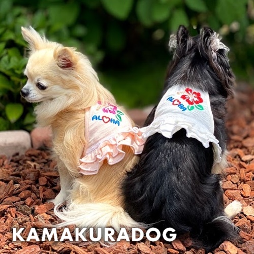 アロハフリルキャミ