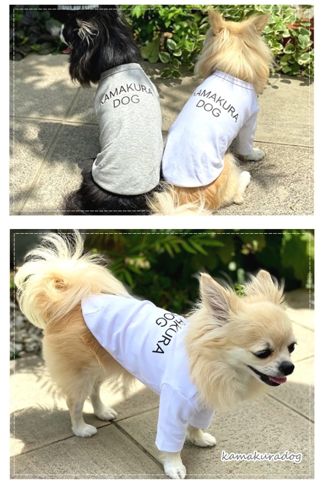 犬服♡マロン 正規取扱店】【送料無料】マンダリンブラザーズ スキンタイト