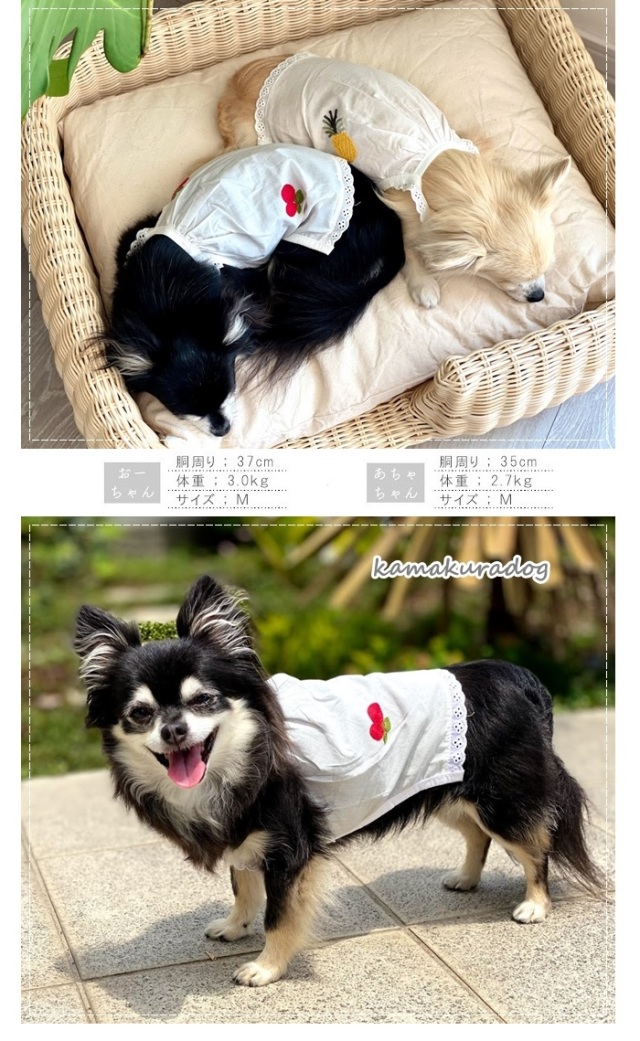 可愛い小型犬の洋服通販 鎌倉ドッグ 刺繍キャミ
