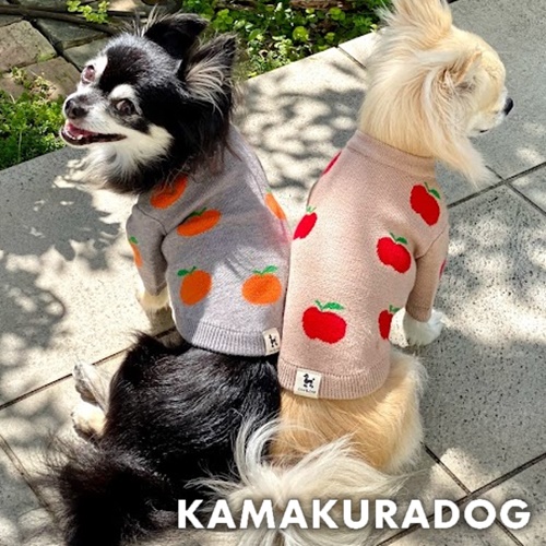 セール！約3.5kgの小型犬にぴったりのMサイズ犬服特集｜快適