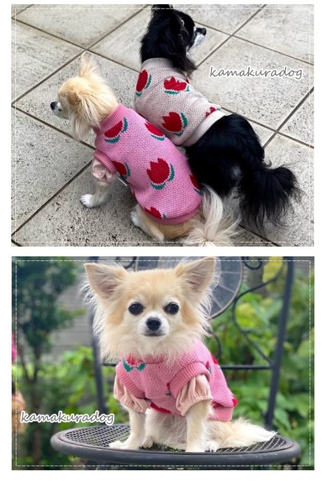POTECHINO 犬と猫デザイン長袖チュニック