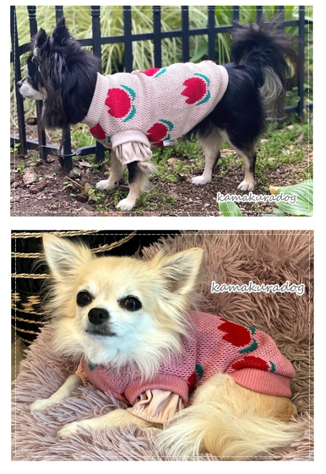 犬服・アクセサリー Fluffy Amazon | FLUFFYPET 大型犬用 犬服 ペット服 犬 保護服 長袖