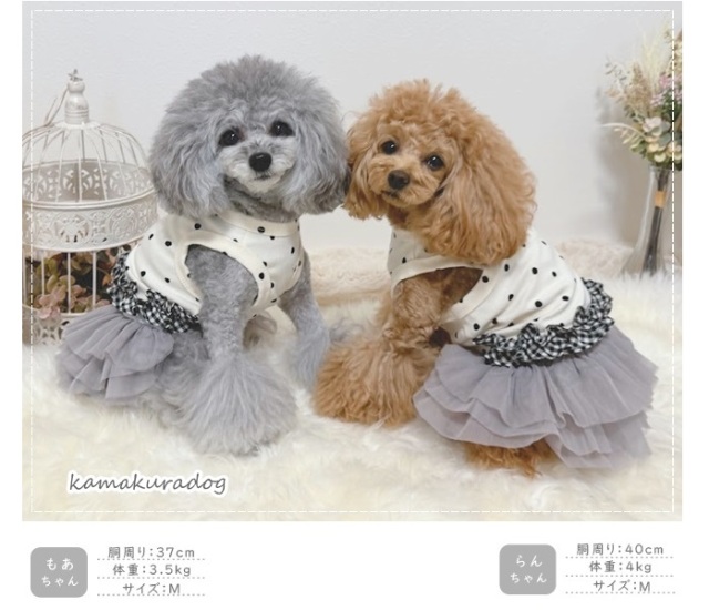 w156b3.jpg?t=20241115142507