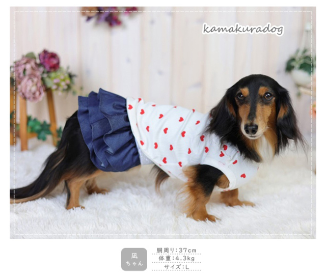 可愛い小型犬の洋服通販 鎌倉ドッグ ビビッドハートのワンピース