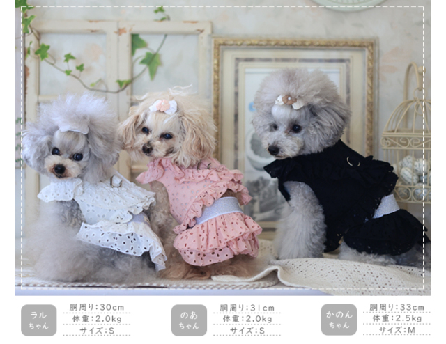 可愛い小型犬の洋服通販 鎌倉ドッグ フレアスカート