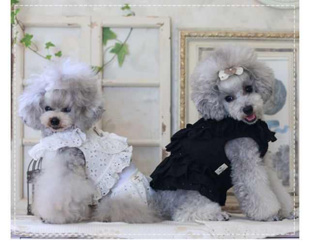 可愛い小型犬の洋服通販 鎌倉ドッグ フレアスカート