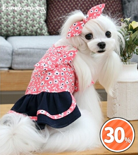 XSサイズ限定セール | 1キロのわんちゃん向け小型犬服｜鎌倉DOG