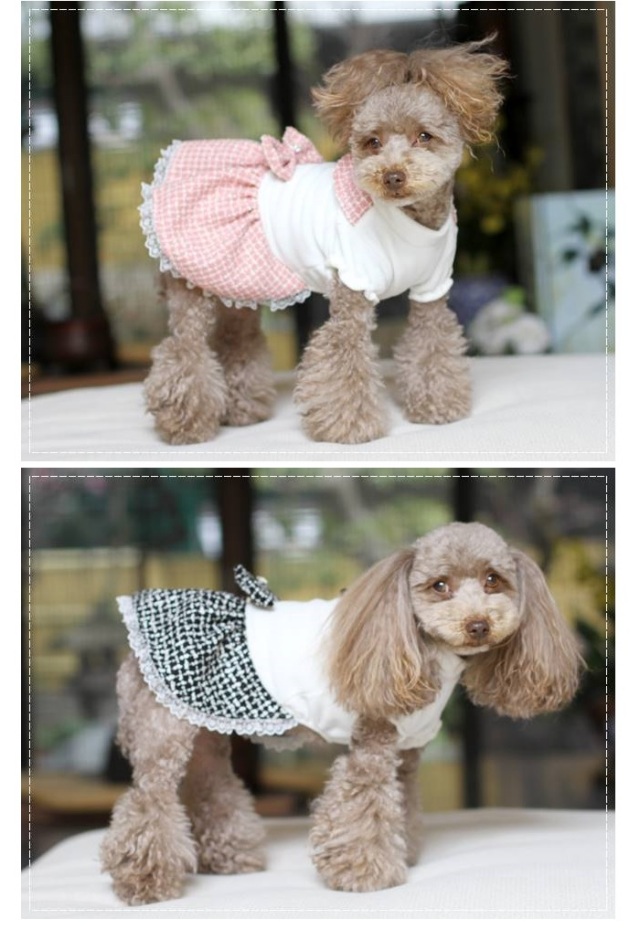 可愛い小型犬洋服通販 鎌倉DOG