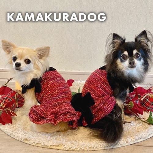 XSサイズ限定セール | 1キロのわんちゃん向け小型犬服｜鎌倉DOG