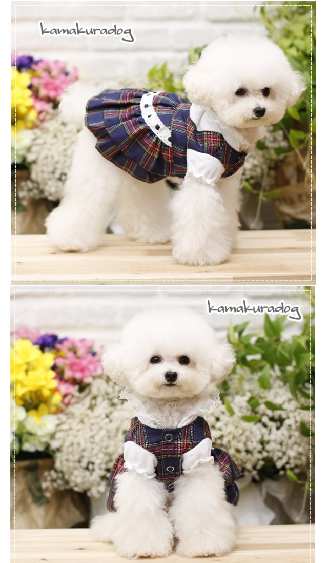 可愛い小型犬の洋服通販 鎌倉ドッグ