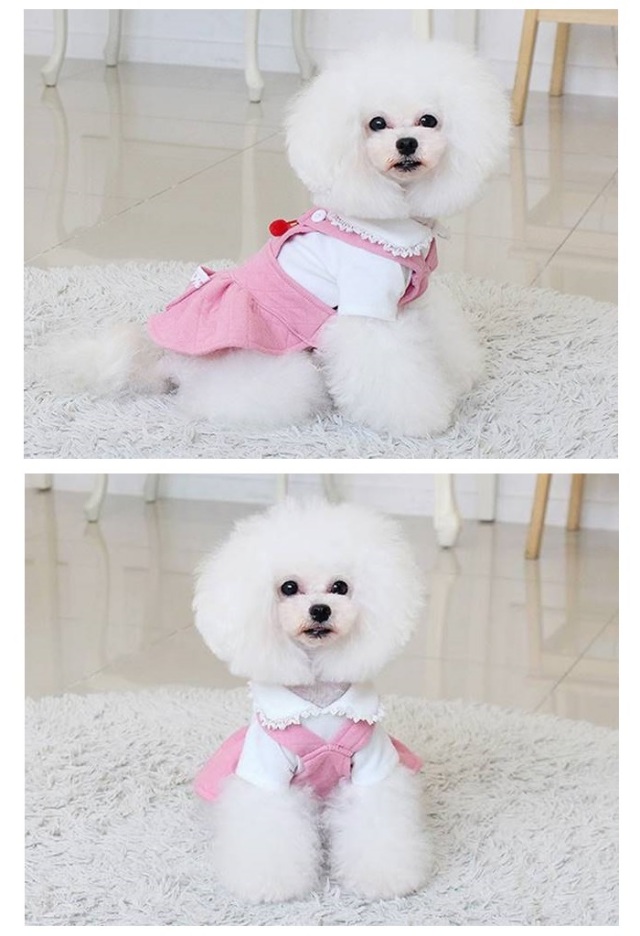 可愛い小型犬の洋服通販 鎌倉ドッグ