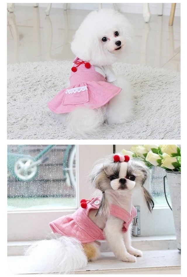 可愛い小型犬の洋服通販 鎌倉ドッグ