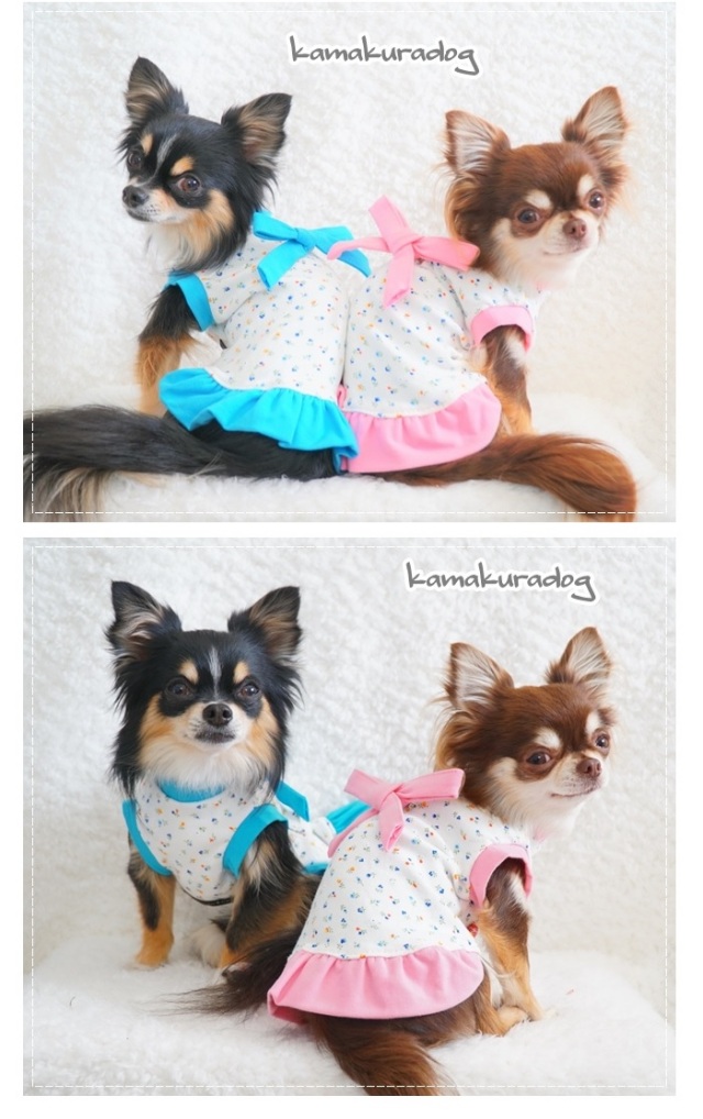 可愛らしい小花柄