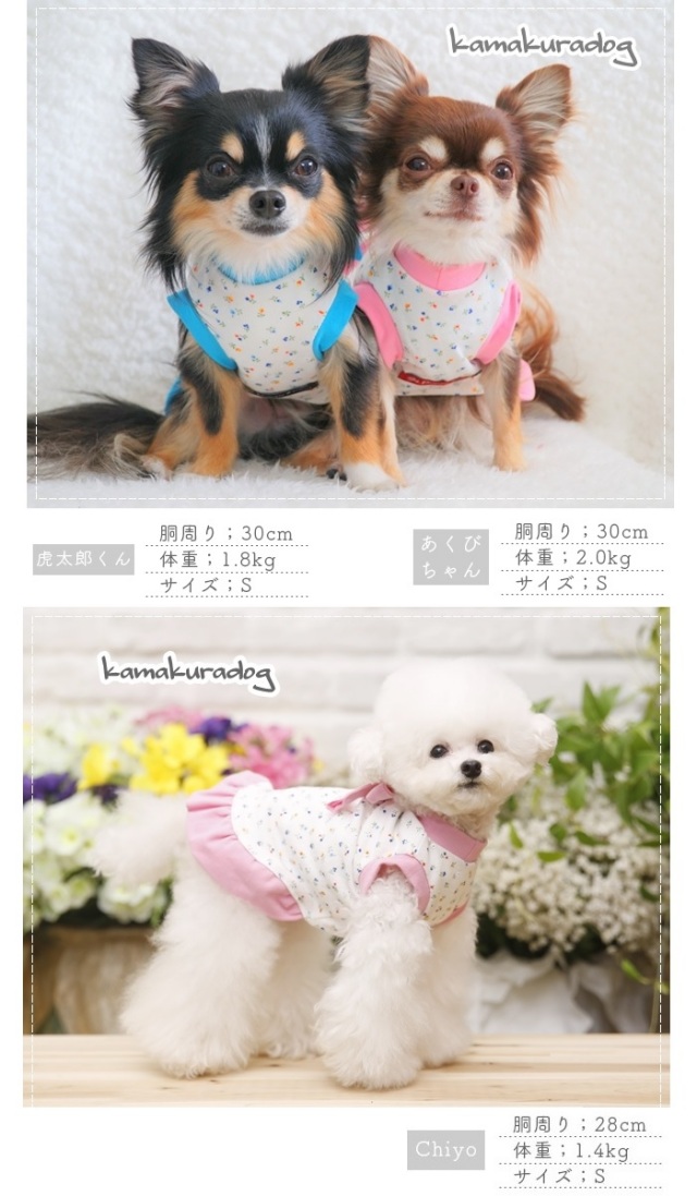 可愛らしい小花柄