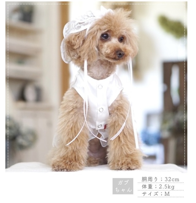 可愛い小型犬の洋服通販 鎌倉ドッグ 可愛い小型犬の洋服通販 鎌倉ドッグ