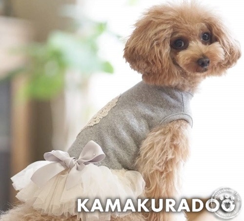 バックオープンベリーワンピ 可愛い小型犬の洋服通販 鎌倉ドッグ