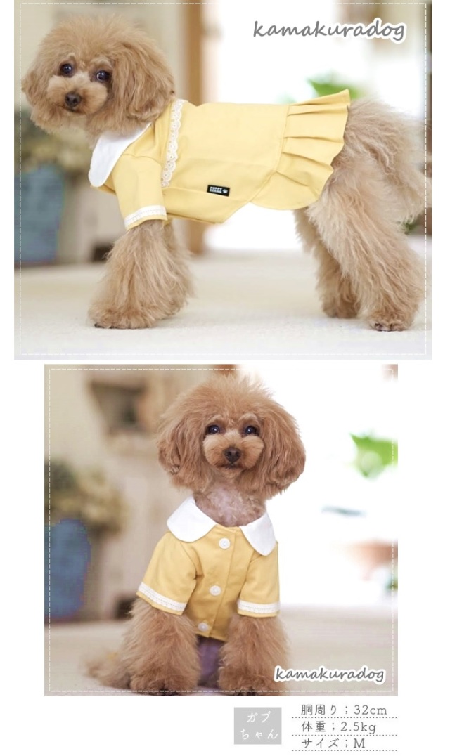 犬服 3S わんこの普段着　黄色いさくらんぼ 犬服 3S わんこの普段着黄色いさくらんぼ