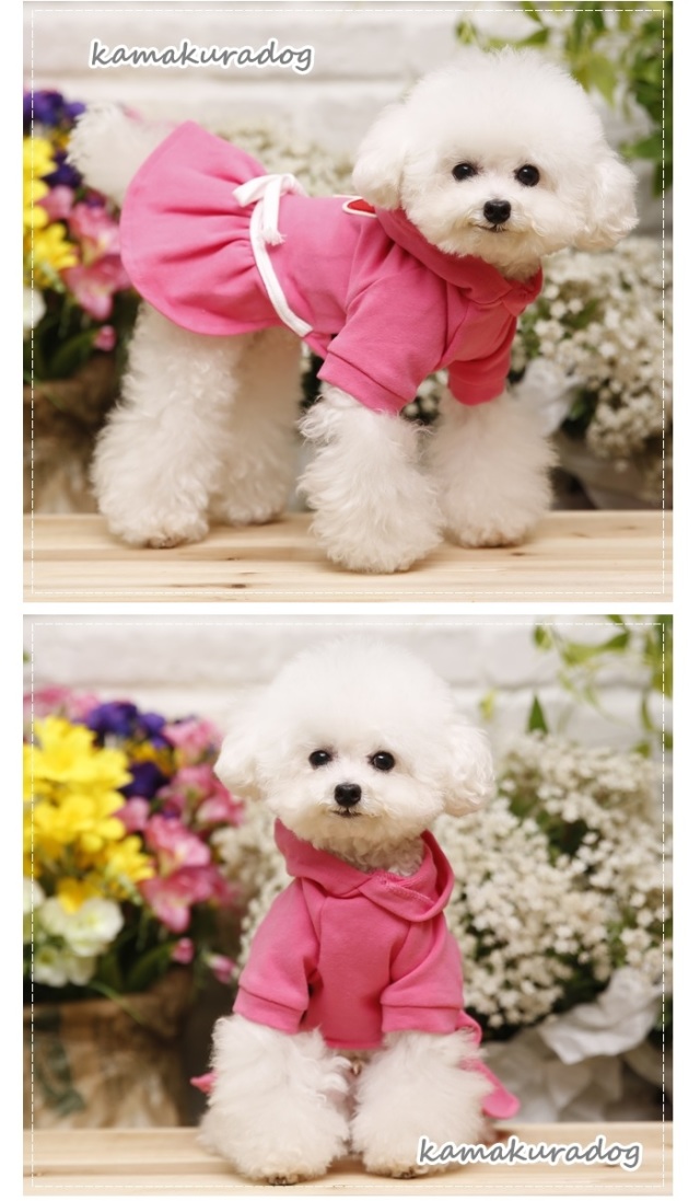 可愛い小型犬の洋服通販 鎌倉ドッグ