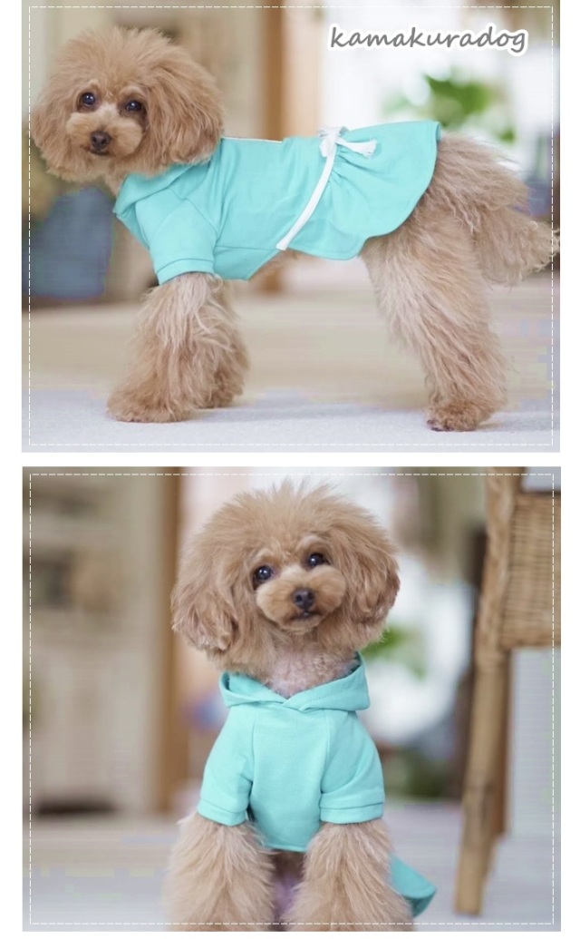 可愛い小型犬の洋服通販 鎌倉ドッグ