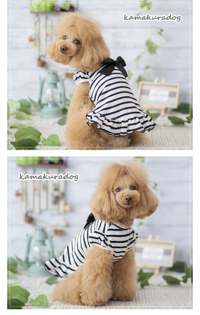 w405a.jpg?t=20200602142814