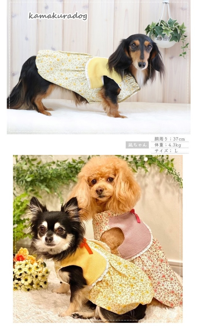 可愛い小型犬の洋服通販 鎌倉ドッグ