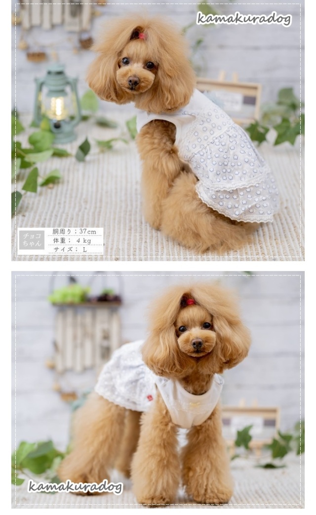 可愛い小型犬の洋服通販 鎌倉ドッグ シアー小花ワンピース