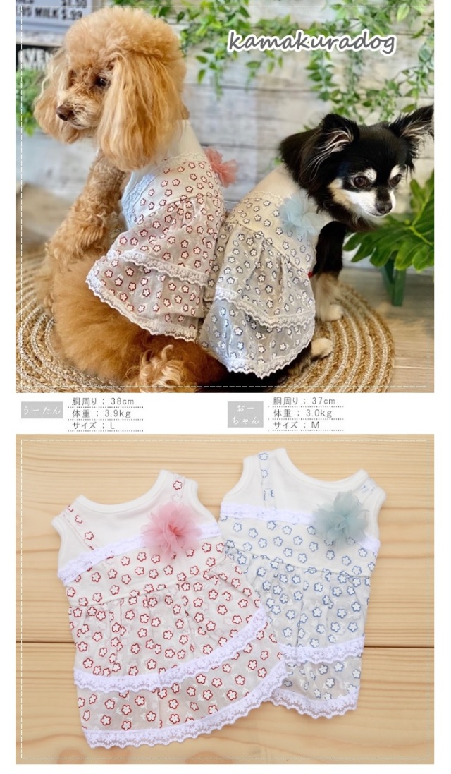 ♡小型犬服♡ハンドメイド♡紫陽花コサージュワンピース♡ブルー 犬服＊浴衣・紫陽花(水花色) ペット服・アクセサリー lumiere