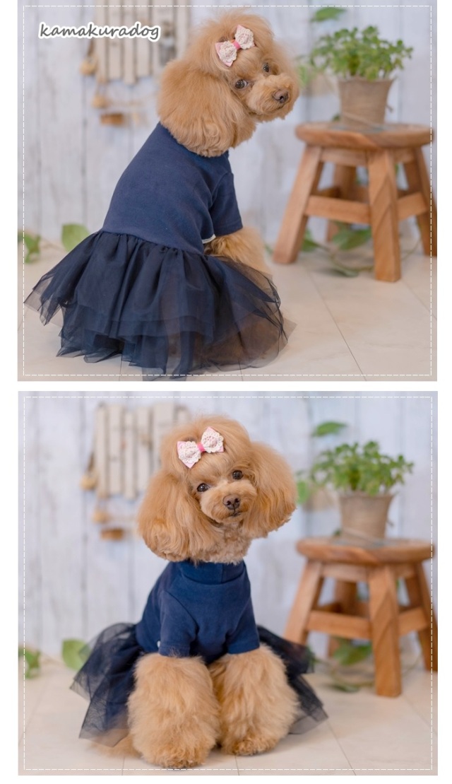 可愛い小型犬の洋服通販 鎌倉ドッグ インナーチュールワンピ 可愛い小型犬の洋服通販 鎌倉ドッグ インナーチュールワンピ