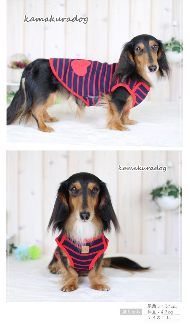 可愛い小型犬の洋服通販 鎌倉ドッグ ダブルハートワンピース