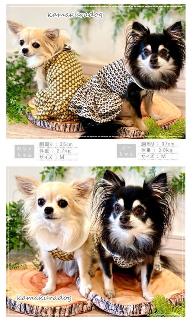 可愛い小型犬の洋服通販 鎌倉ドッグ アンティークニットワンピ