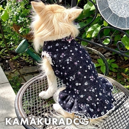 セール！約3.5kgの小型犬にぴったりのMサイズ犬服特集｜快適