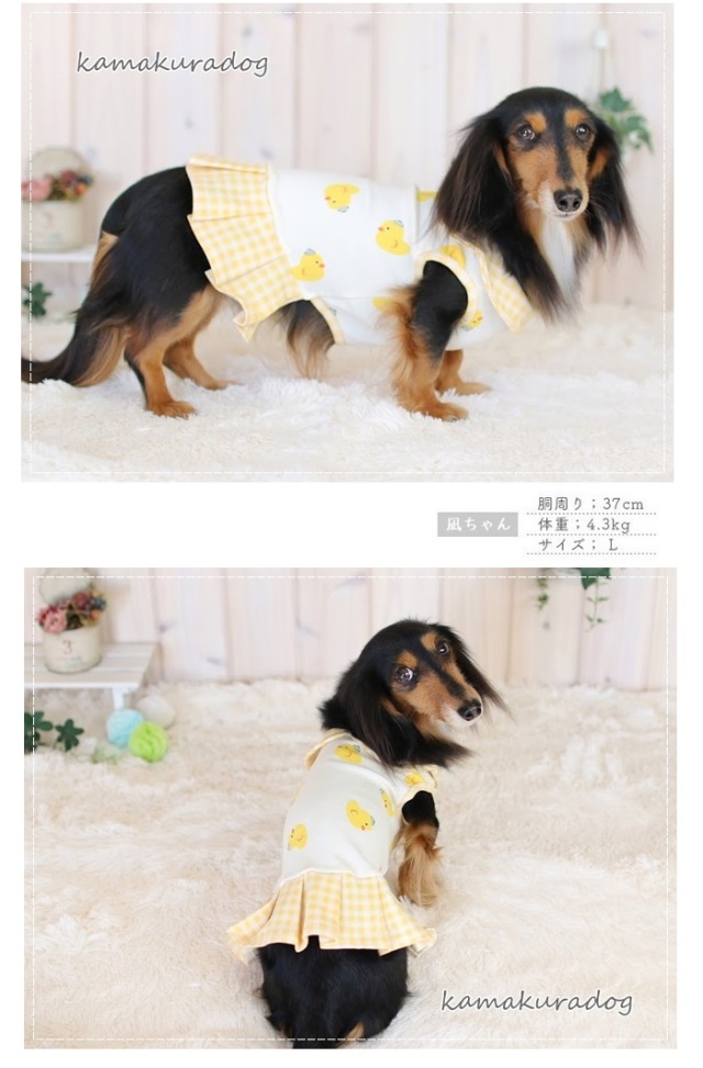 可愛い小型犬の洋服通販 鎌倉ドッグ アヒルちゃんワンピ