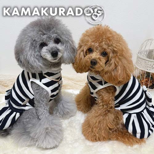 クラウンチャームワンピース