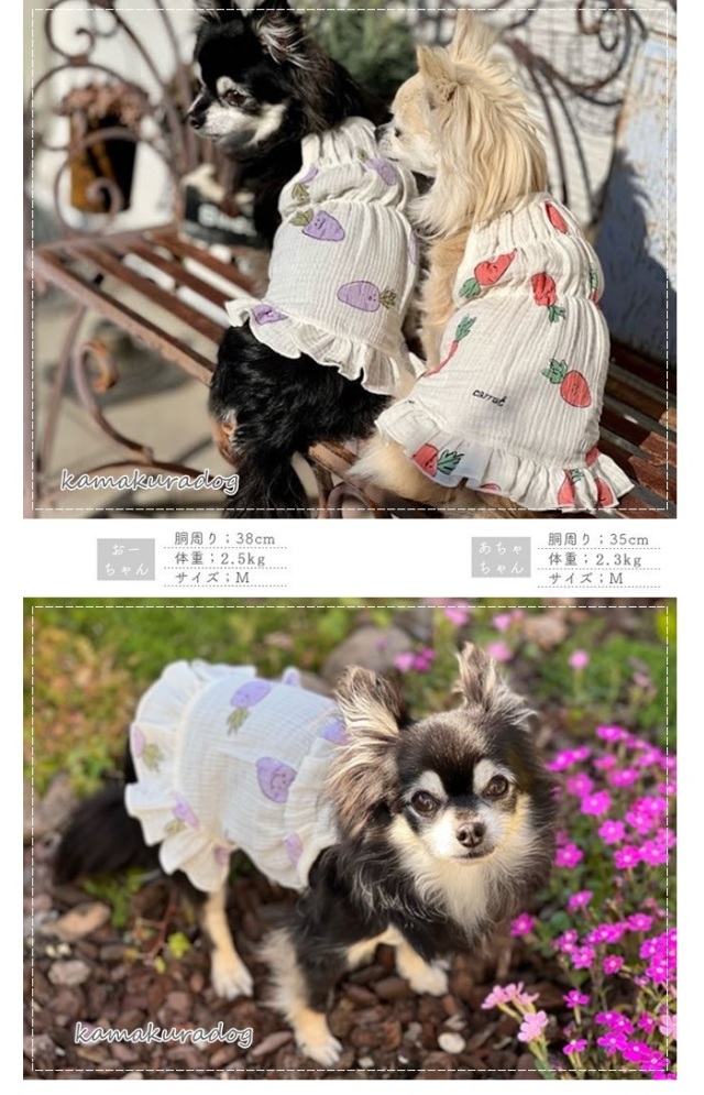 可愛い小型犬の洋服通販 鎌倉ドッグ キャロットワンピース
