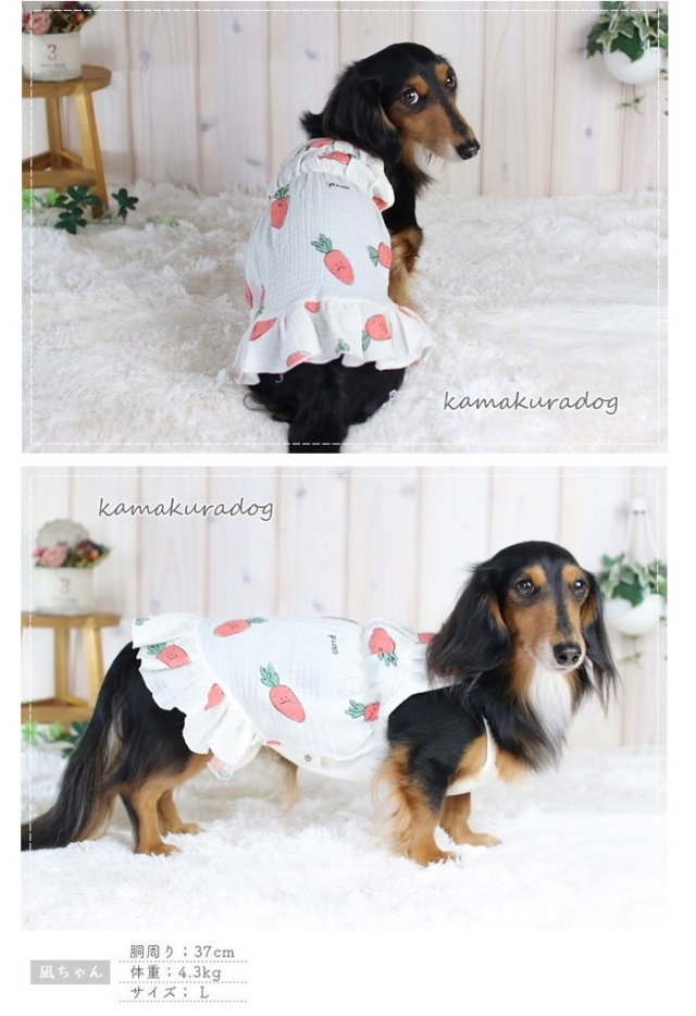 可愛い小型犬の洋服通販 鎌倉ドッグ キャロットワンピース