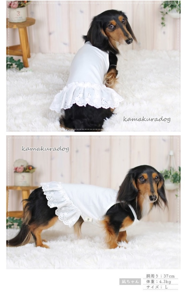 可愛い小型犬の洋服通販 鎌倉ドッグ ピュアホワイトワンピース