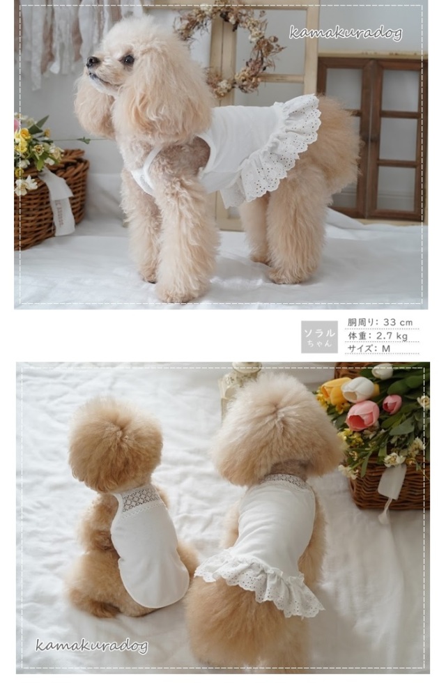 可愛い小型犬の洋服通販 鎌倉ドッグ ピュアホワイトワンピース