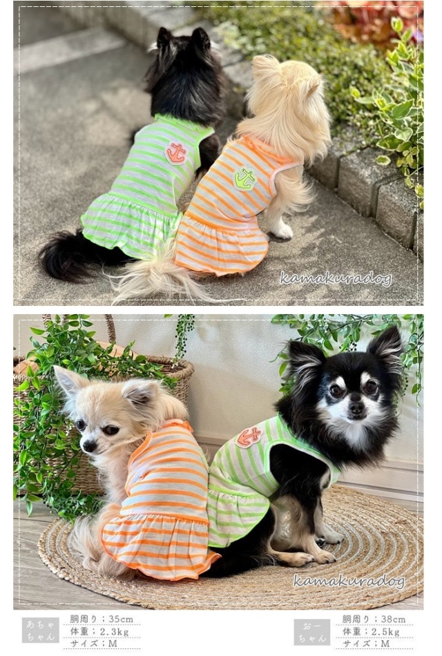 可愛い小型犬の洋服通販 鎌倉ドッグ エナジーボーダーワンピース