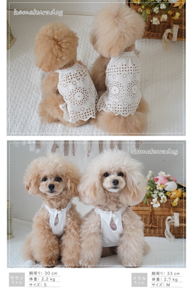 可愛い小型犬の洋服通販 鎌倉ドッグ 涼しげレースワンピース