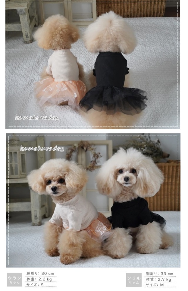 可愛い小型犬の洋服通販 鎌倉ドッグ ベアープリントチュールワンピ