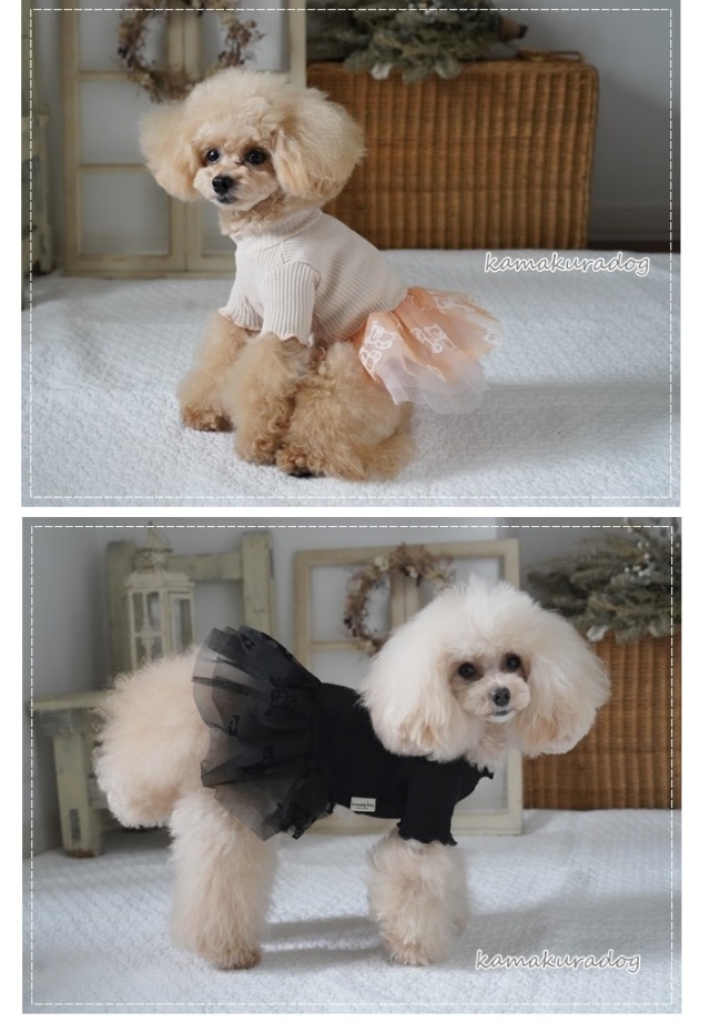 可愛い小型犬の洋服通販 鎌倉ドッグ ベアープリントチュールワンピ