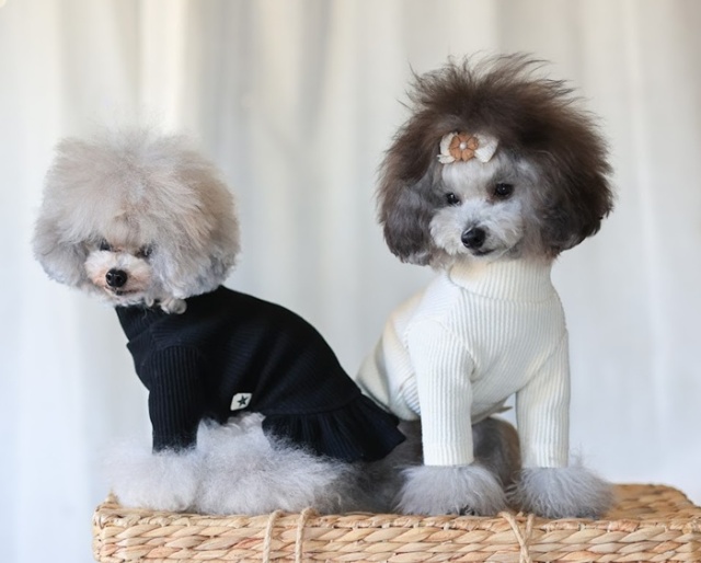 NEWハイネックワンピース 可愛い小型犬の洋服通販 鎌倉ドッグ