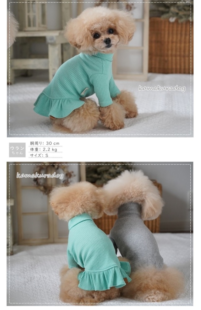 犬服ハンドメイド♡ミィモ♡ハロウィンワンピ♡ラグラン袖ハイネック