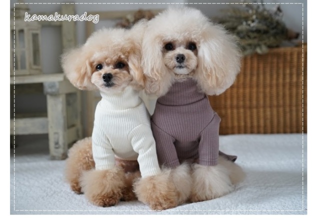 可愛い小型犬の洋服通販 鎌倉ドッグ ハイネックワンピース